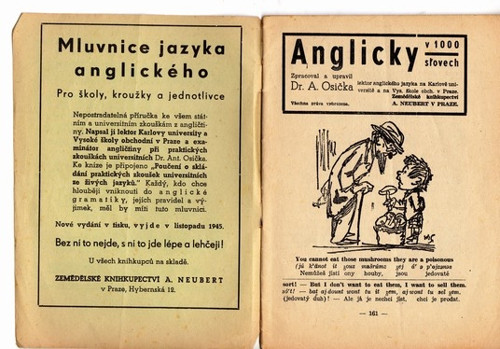 Anglicky v 1000 slovech — foto 2