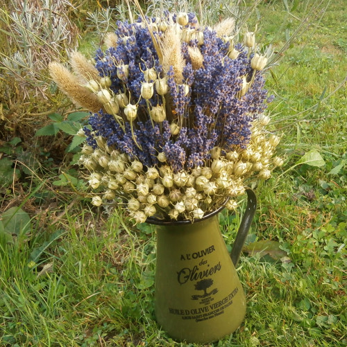 Já zelenáč s levandulí... — foto 3