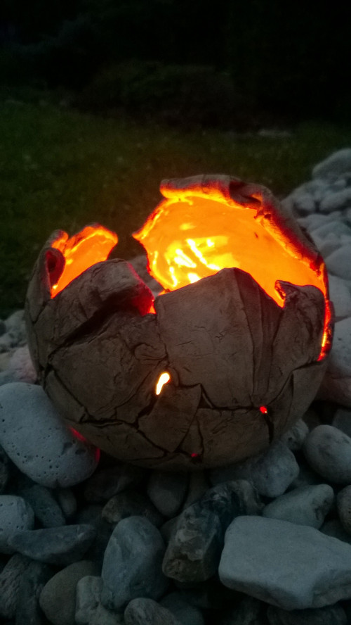 Svícen,skořepina — foto 6