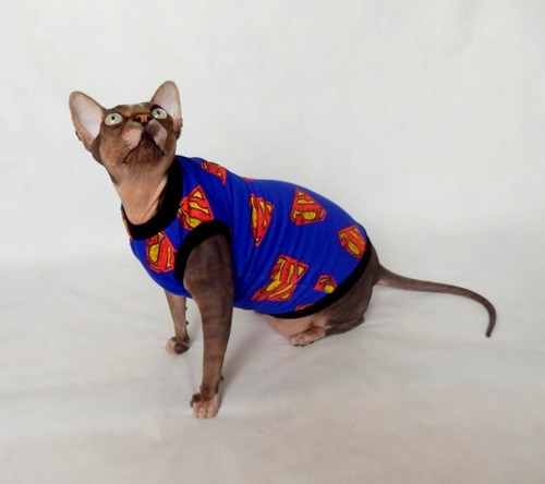 SuperSphynx — foto 3