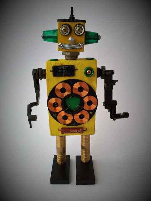 Teslabot I. — foto 4