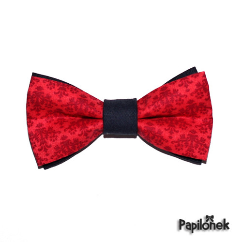 Pánský motýlek - Papilónek karmínový — foto 2