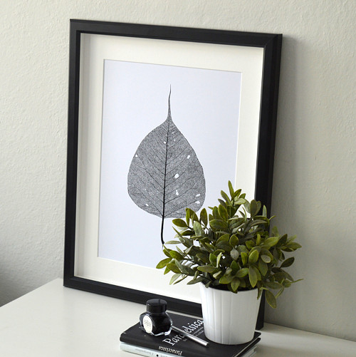 Bodhi Tree - originál — foto 3