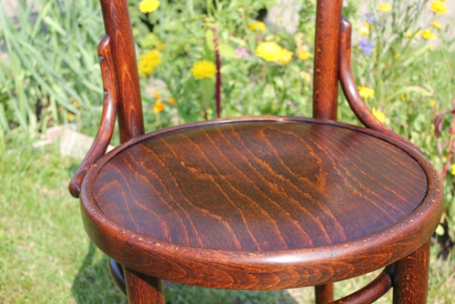 Židle Thonet Mundus — foto 3