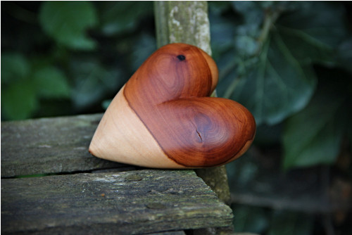 Hruškové dlachňadlo — foto 2