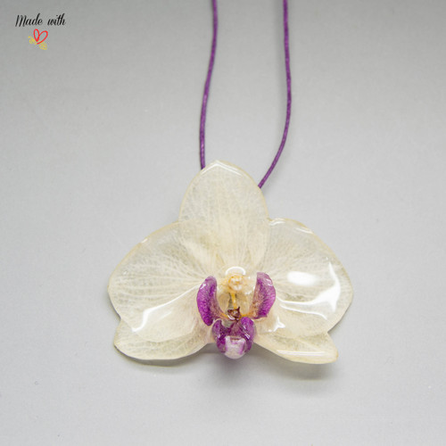 Phalaenopsis II. — foto 3