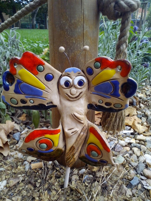 Můro-motýlí mimi — foto 2