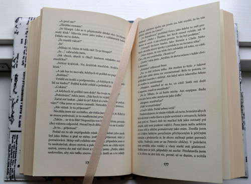 Obal Vášnivý spisovatel — foto 4
