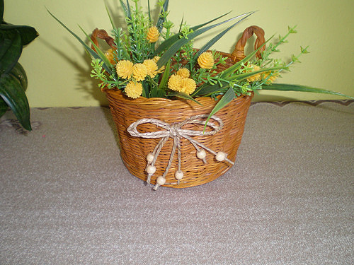 Ušáček - Vietnámek — foto 2