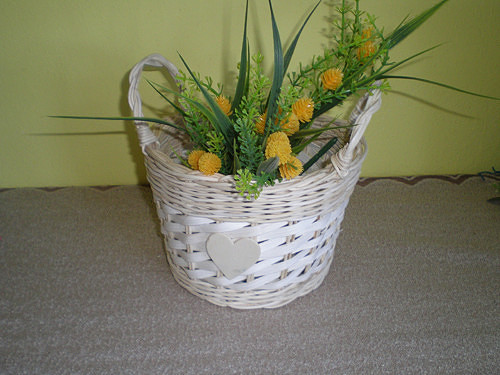 Ušáček - Vietnámek — foto 3