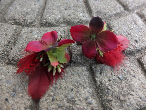 Náušnice s vínovými peříčky — foto 3