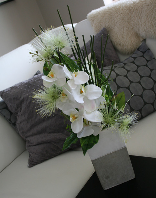 Orchideje v betonu — foto 3