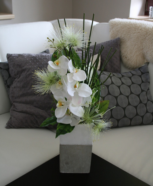 Orchideje v betonu — foto 5