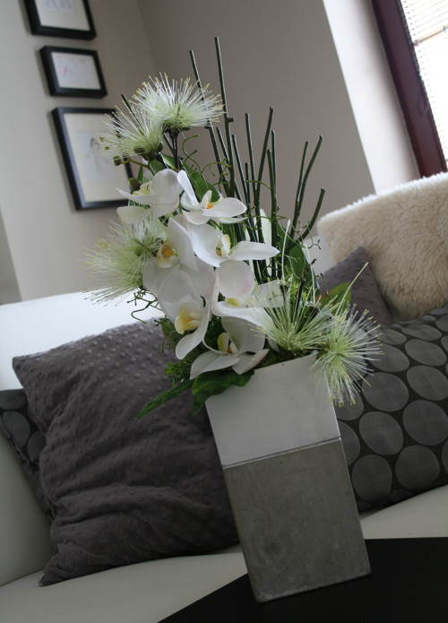 Orchideje v betonu — foto 6