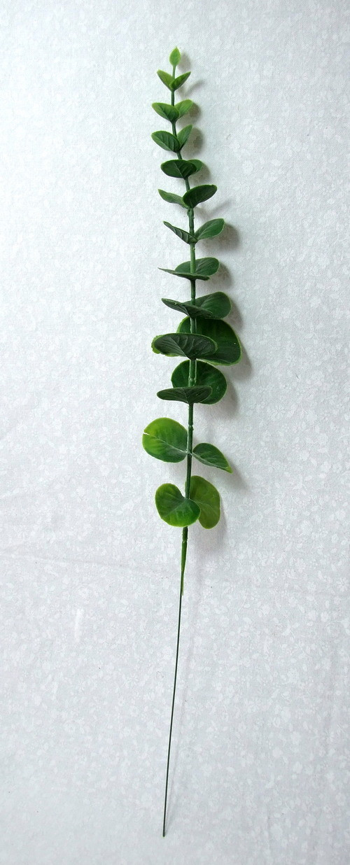 Eucalyptus 40 cm — foto 2