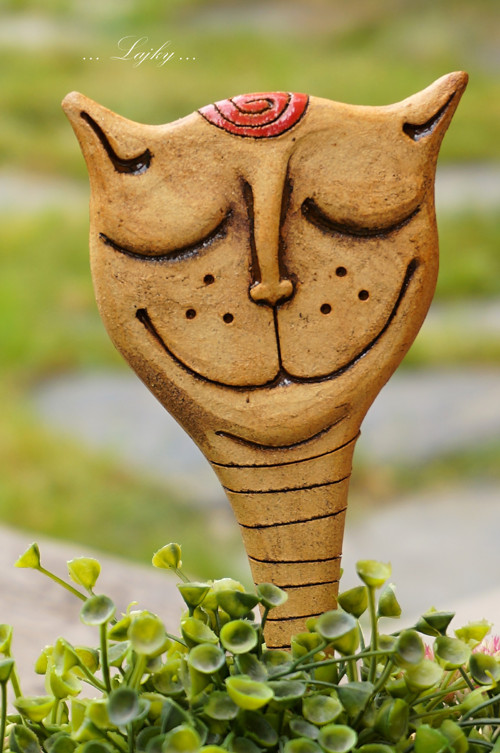 Kocour — foto 3