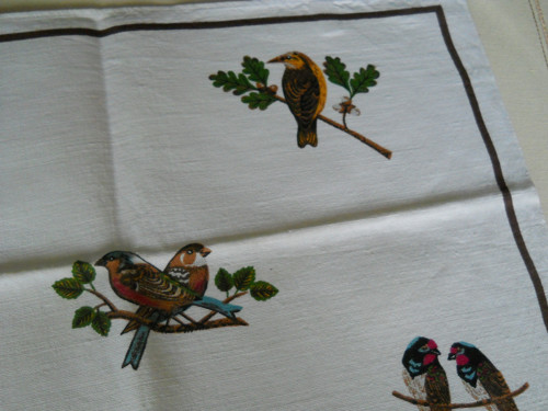 Utěrka plná ptactva. — foto 3