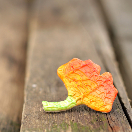 Gingko — foto 2