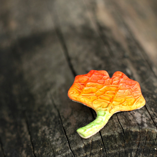 Gingko — foto 3