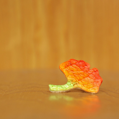 Gingko — foto 4