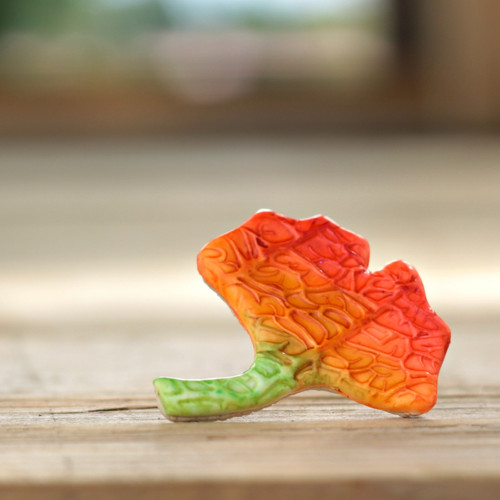 Gingko — foto 5