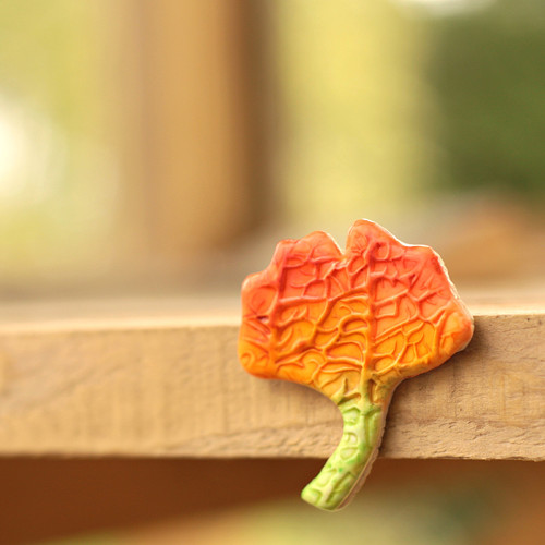 Gingko — foto 6