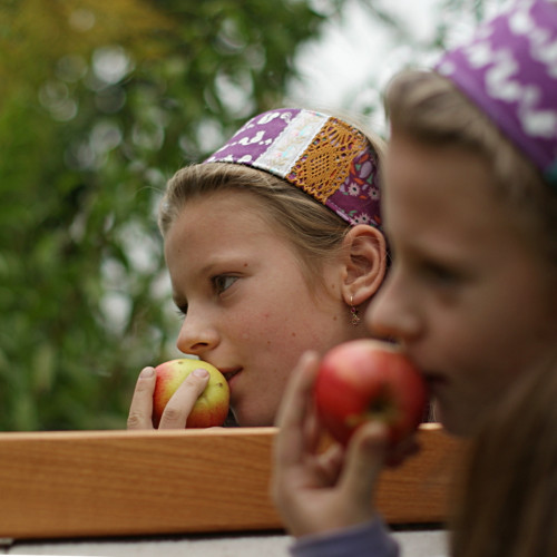 Podzimní... dámská čelenka — foto 2