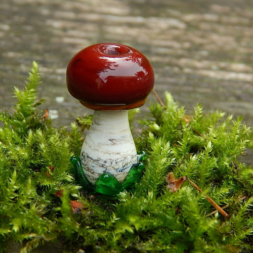 Houbička 2 — foto 2