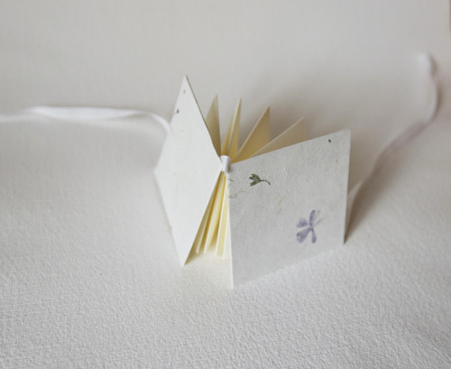 Star book živé květy — foto 4