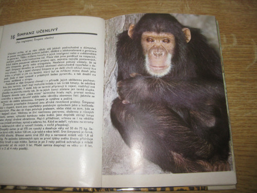 Kniha - Kapesní atlas savců — foto 3