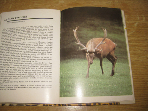 Kniha - Kapesní atlas savců — foto 4