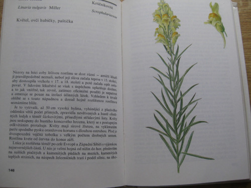 Kniha- Zelená lékárna — foto 3