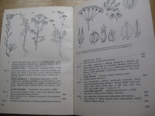 Botanický klíč- kniha — foto 2