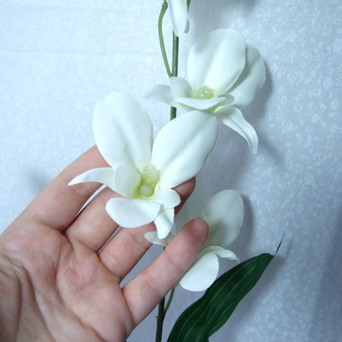 Cymbidium - textilní orchidej — foto 2