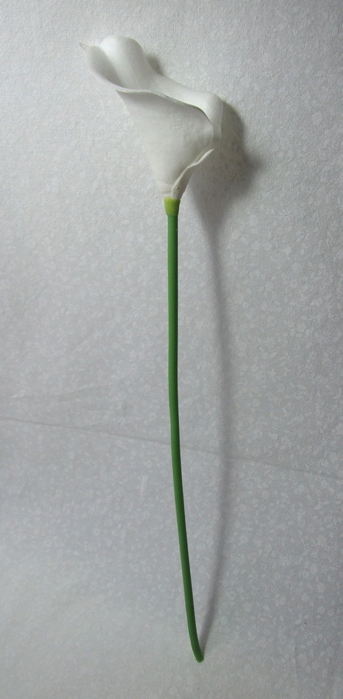 Kala bílá — foto 3