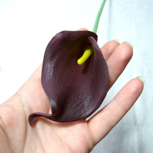 Kala temně fialová — foto 3