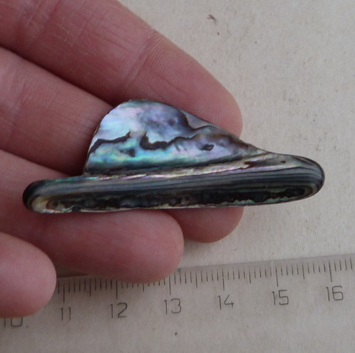 Perleť Paua - 5,3 x 2 x 0,4 cm — foto 2