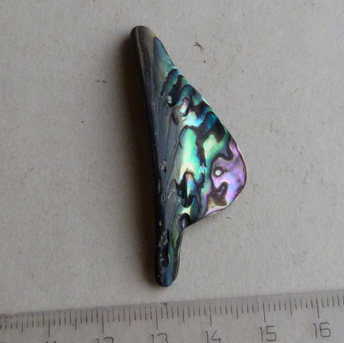 Perleť Paua - 5,3 x 2 x 0,4 cm — foto 3