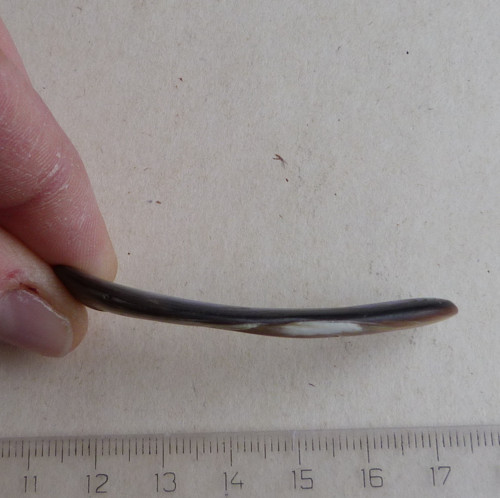 Perleť Paua - 5,8 x 1,2 x 0,3 cm — foto 3