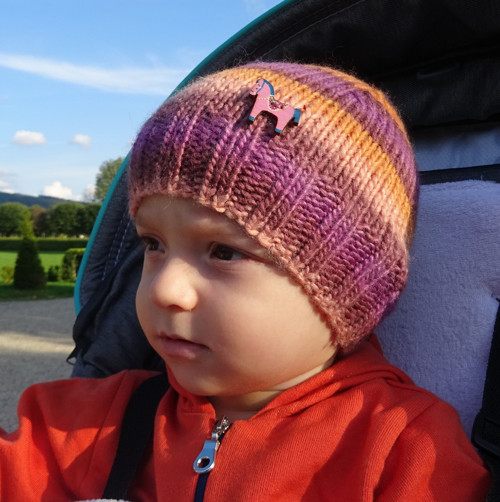 Podzimní "koník" — foto 2