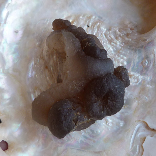 Chalcedon — foto 5