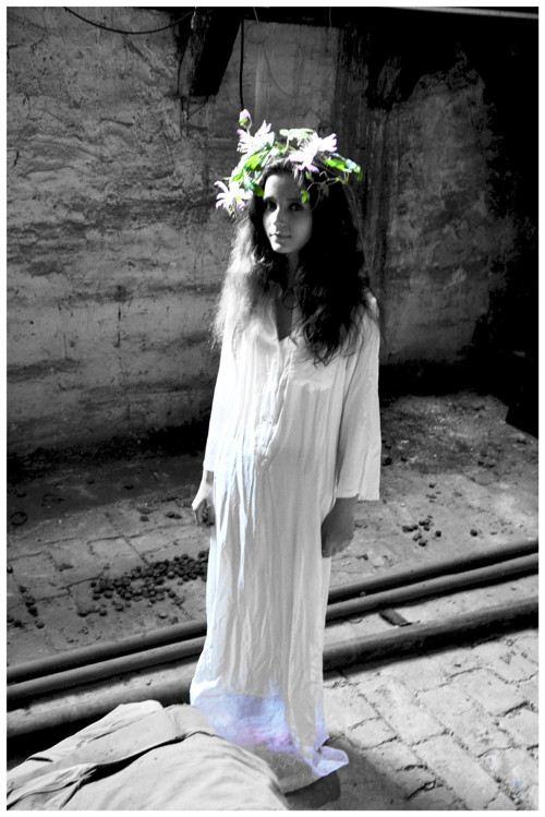 Passiflora — foto 3