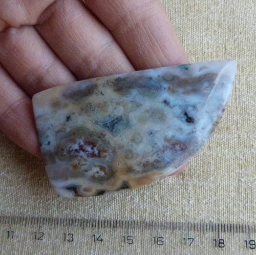 Jaspis Ocean — foto 2