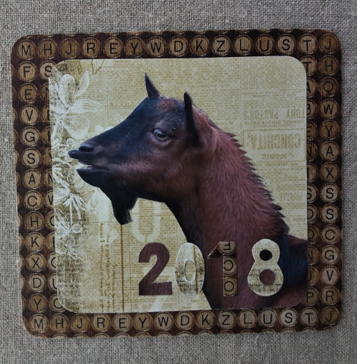 Róza v béžové 2018 — foto 4