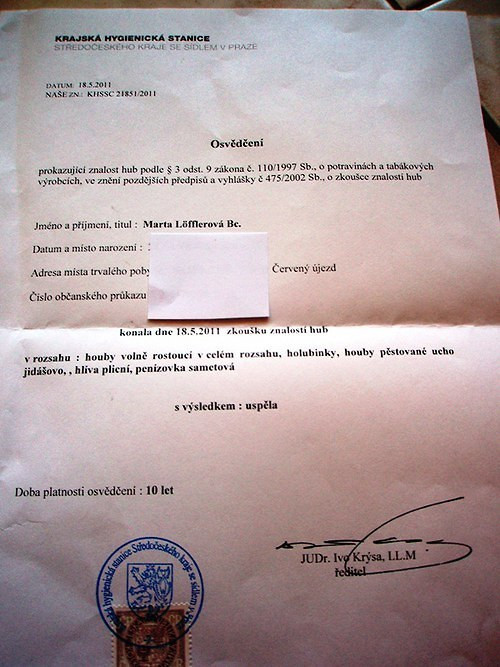 Houbová směs v octě; 260 gramů — foto 3