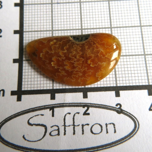 Amonit - kabošon č.7 — foto 2