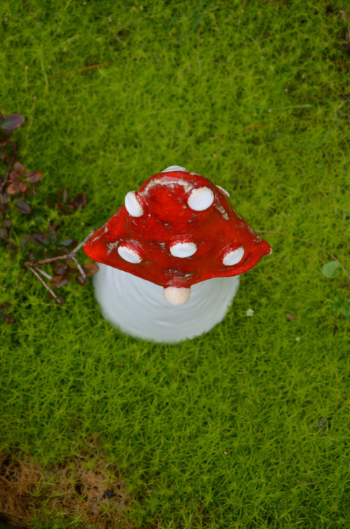 Muchomůrkový skřítek — foto 2