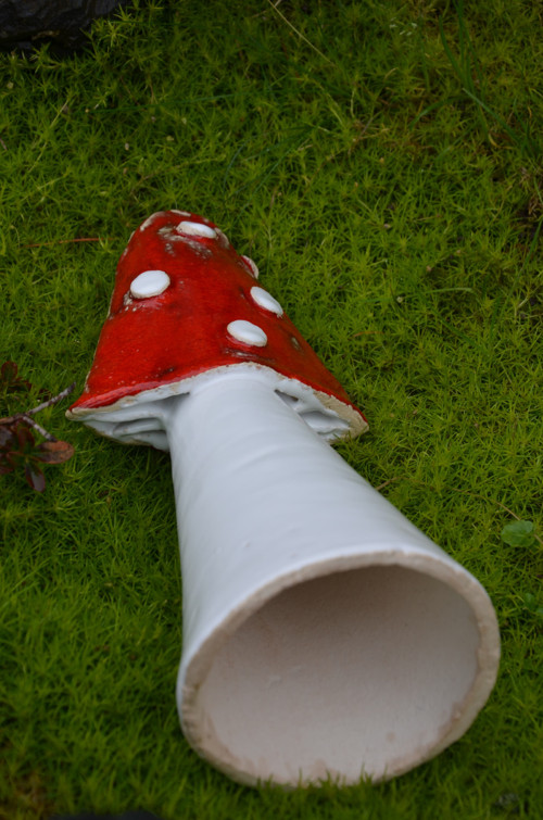 Muchomůrkový skřítek — foto 3