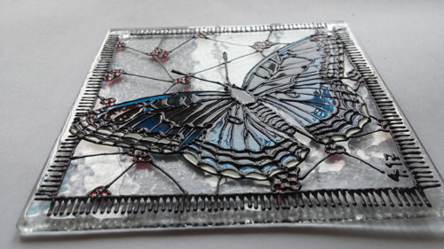 Limenitis arthemis III - na přání — foto 2
