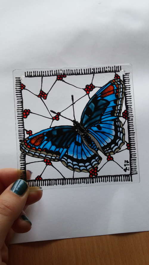 Limenitis arthemis III - na přání — foto 3